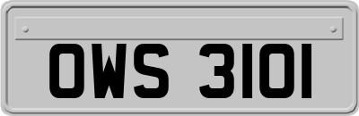 OWS3101