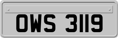 OWS3119