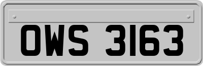 OWS3163