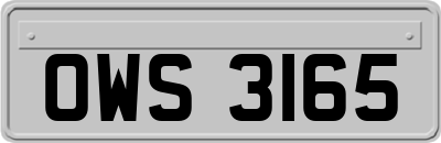 OWS3165