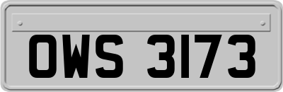 OWS3173