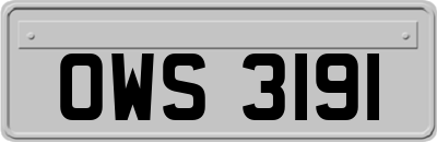 OWS3191