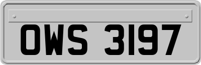OWS3197