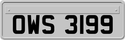 OWS3199