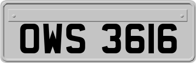 OWS3616