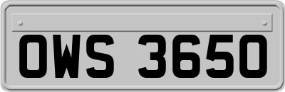 OWS3650