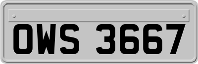 OWS3667