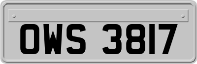 OWS3817