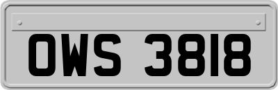 OWS3818