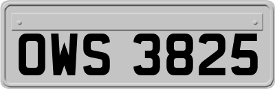 OWS3825