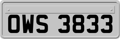 OWS3833