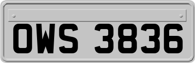 OWS3836