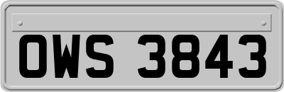 OWS3843
