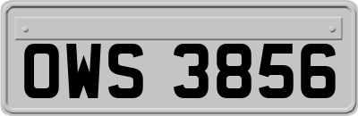 OWS3856
