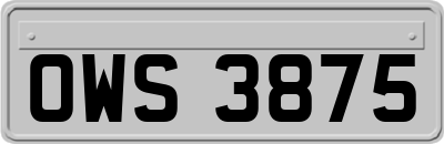 OWS3875