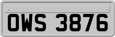 OWS3876