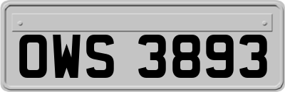 OWS3893