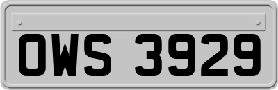 OWS3929