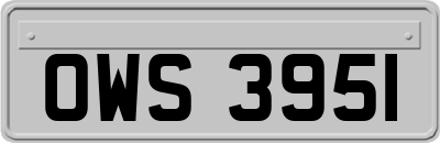 OWS3951