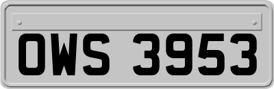 OWS3953
