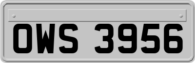 OWS3956