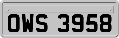 OWS3958