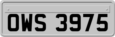 OWS3975