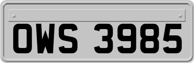 OWS3985