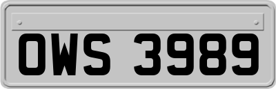 OWS3989