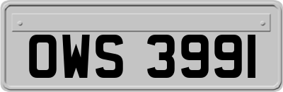 OWS3991