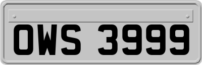 OWS3999