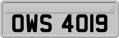 OWS4019