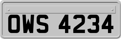 OWS4234