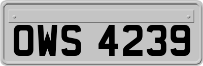 OWS4239