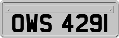 OWS4291