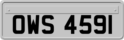OWS4591