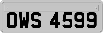 OWS4599