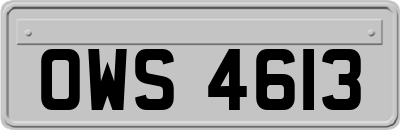 OWS4613