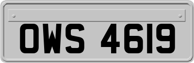 OWS4619