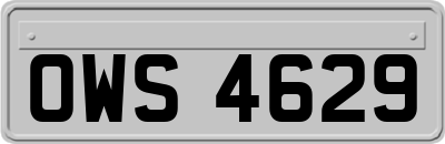 OWS4629