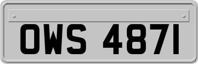 OWS4871