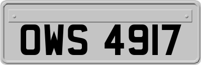 OWS4917