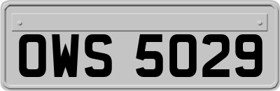 OWS5029