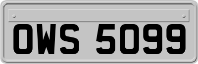 OWS5099