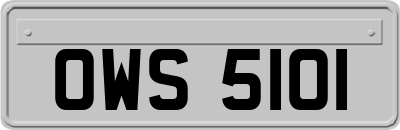 OWS5101