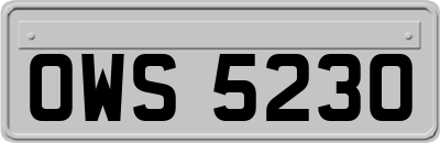OWS5230