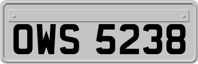 OWS5238