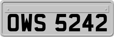 OWS5242