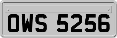 OWS5256