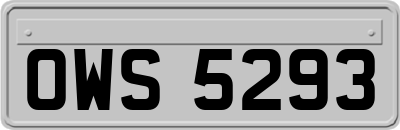 OWS5293